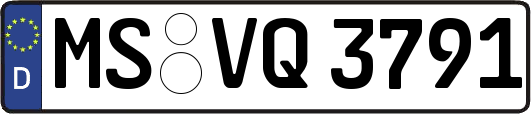 MS-VQ3791