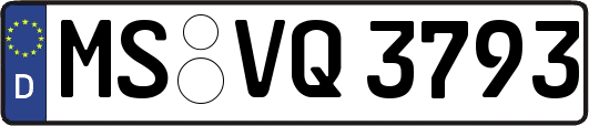 MS-VQ3793