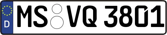 MS-VQ3801
