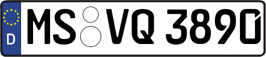MS-VQ3890