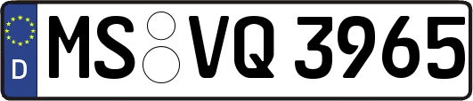 MS-VQ3965