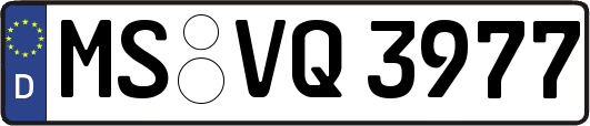 MS-VQ3977
