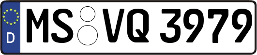 MS-VQ3979