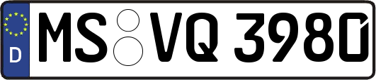 MS-VQ3980