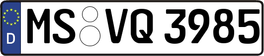 MS-VQ3985