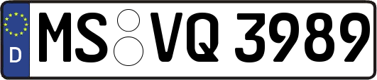 MS-VQ3989