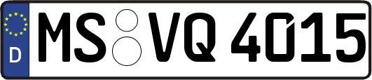 MS-VQ4015