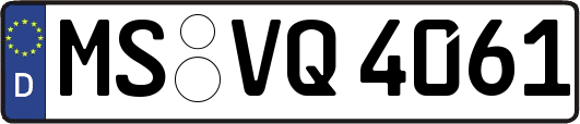 MS-VQ4061