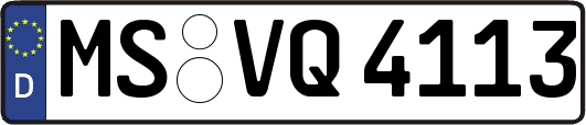 MS-VQ4113