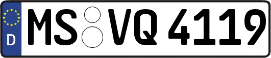 MS-VQ4119