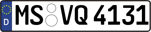 MS-VQ4131