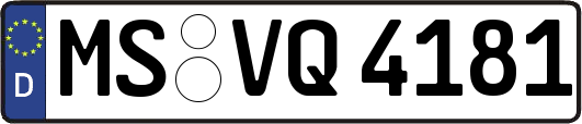 MS-VQ4181