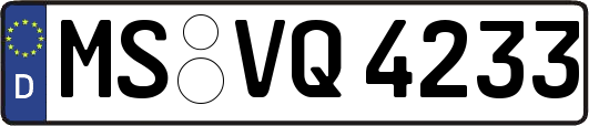 MS-VQ4233