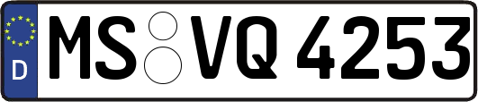 MS-VQ4253