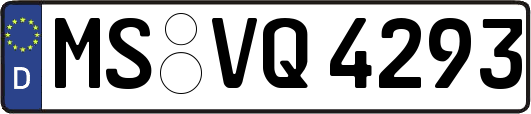 MS-VQ4293