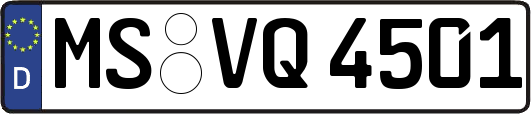 MS-VQ4501