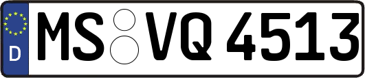 MS-VQ4513