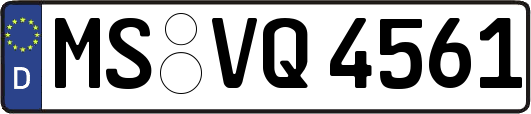 MS-VQ4561