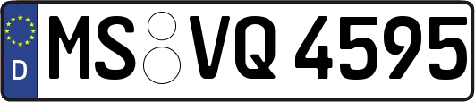 MS-VQ4595
