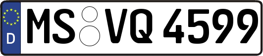 MS-VQ4599
