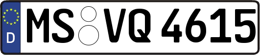 MS-VQ4615