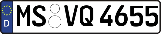 MS-VQ4655