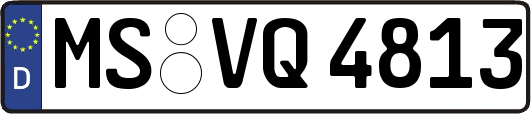 MS-VQ4813
