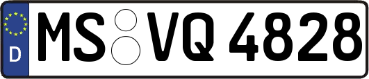 MS-VQ4828