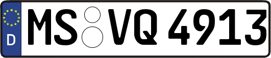 MS-VQ4913