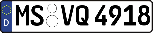 MS-VQ4918