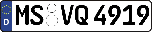 MS-VQ4919