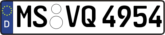 MS-VQ4954