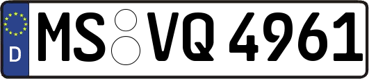 MS-VQ4961