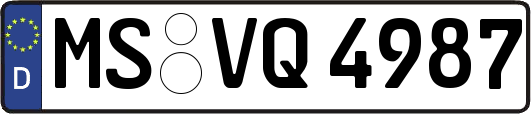 MS-VQ4987