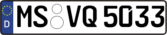 MS-VQ5033
