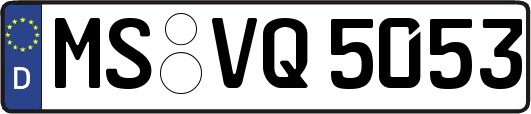 MS-VQ5053
