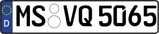 MS-VQ5065