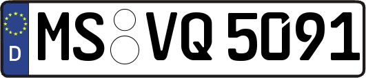 MS-VQ5091