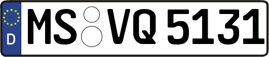 MS-VQ5131