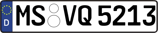 MS-VQ5213