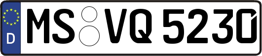 MS-VQ5230
