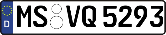 MS-VQ5293