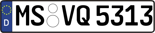 MS-VQ5313