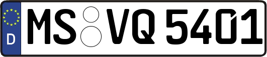 MS-VQ5401