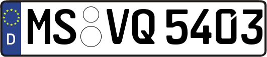 MS-VQ5403
