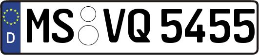 MS-VQ5455