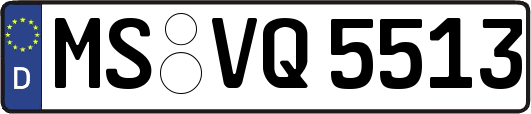 MS-VQ5513