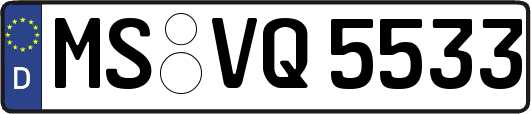 MS-VQ5533