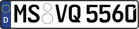 MS-VQ5560