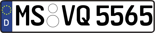 MS-VQ5565